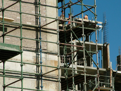 Falling objects targeted by safety inspections Freeimages lotus head 3