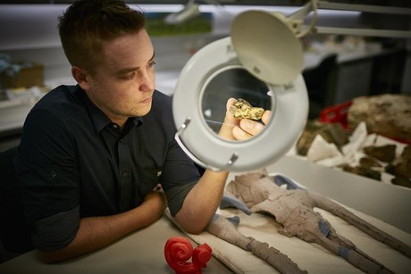 Baleen whales have always been good listeners Whale