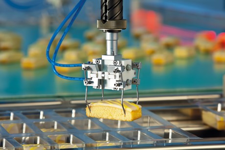 Safe, efficient, smart and sustainable — modern food packaging 5 gerhard schubert gmbh kuchenverpackung manor b heller