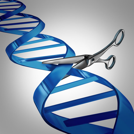 The battle for CRISPR/Cas9 gene-editing technology: what patent applicants need to know Dollarphotoclub 88568525