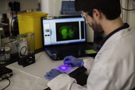 Light-activated drugs for pain treatment Fotofarmac 8