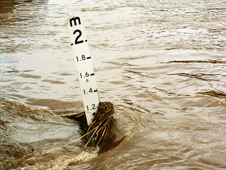 Hub created for Qld cyclone victims Freeimages warwick kay