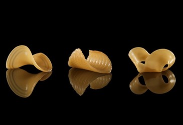 Shape morphing pasta — just add water Shape morphing pasta — just add water