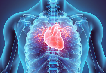 Coronary artery disease genes influence reproduction Coronary artery disease genes influence reproduction