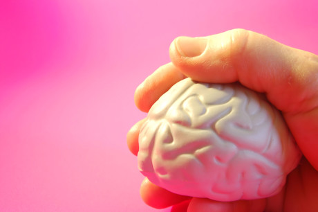 Brain development hypothesis challenged Freeimages julia freeman woolpert 3