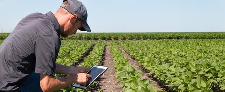 Improving agricultural efficiency with the IIoT Schneider1