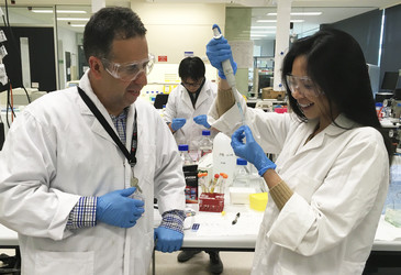 RMIT research points to treatment breakthrough for viruses RMIT research points to treatment breakthrough for viruses