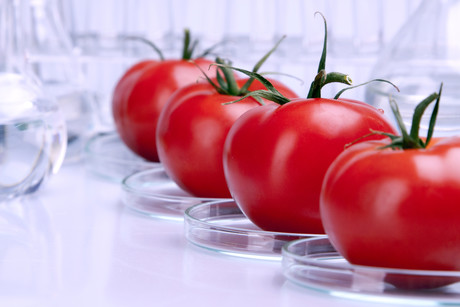 Edible packaging and algae-based protein could be our food future Adobestock 24098775
