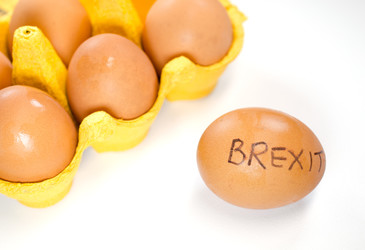 Brexit poses serious risks to UK's food and beverage sector Brexit poses serious risks to UK's food and beverage sector