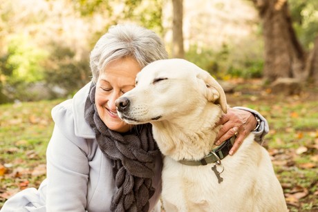 Puppy guilt trips help keep the elderly active Adobestock 93675518