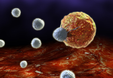 Inadequate T-cell development linked to autoimmune diseases Inadequate T-cell development linked to autoimmune diseases