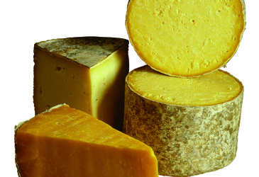 Industrial cheesemaking secrets revealed Industrial cheesemaking secrets revealed