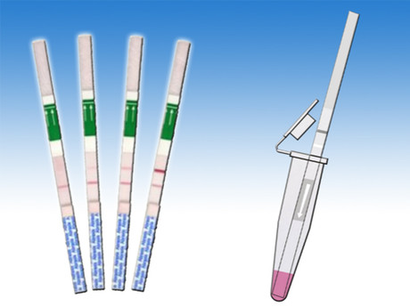 Abraxis Glyphosate strip test kits