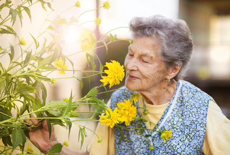 Sniffing out Alzheimer's early Adobestock 70640800