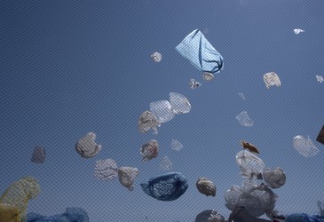 Queensland passes plastic bag ban, cash for containers scheme Queensland passes plastic bag ban, cash for containers scheme