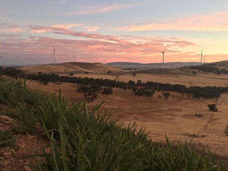 Reaping the rewards of wind energy with Tanya Jackson 20170906 ararat wind farm 1