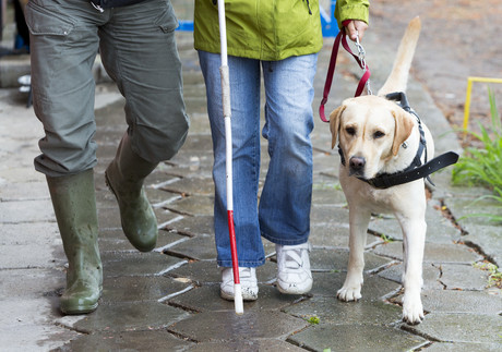 Vision impaired guided by beacon and GPS technology Adobestock 86387749