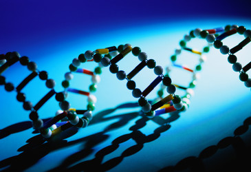 Modified gene-editing technique reverses disease without cutting DNA