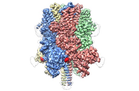 Atomic structure revealed for blood flow-regulating protein Lu laboratory nature jpg
