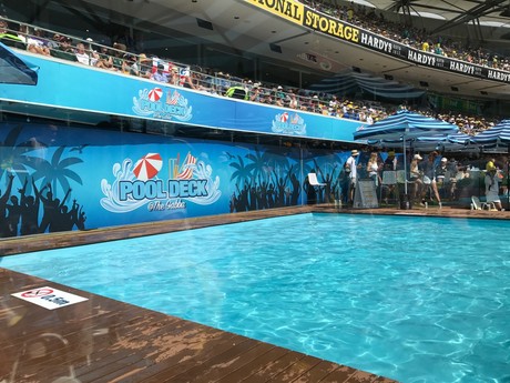 Bugs knocked for six on cricket pool deck Pool deck 2