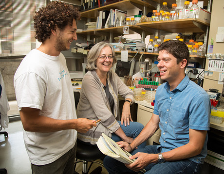 New protein functions uncovered John lubin victoria lundblad timothy tucey 0x8c9357 2100x1637 300 rgb