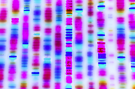 Reducing genomic testing time for critically ill babies Dollarphotoclub 97322256