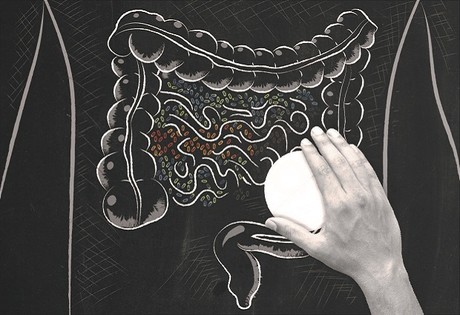 Medication caught meddling with the gut microbiome Gut