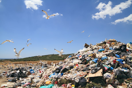 Queensland's new waste strategy brings back landfill levy Dollarphotoclub 52486639