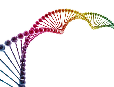 How genomics can lead doctors to 'knowing ahead of time' Adobestock 106351786