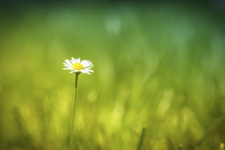 Funding offered to commemorate Tas workplace deaths Istock 000021379368xxxlarge