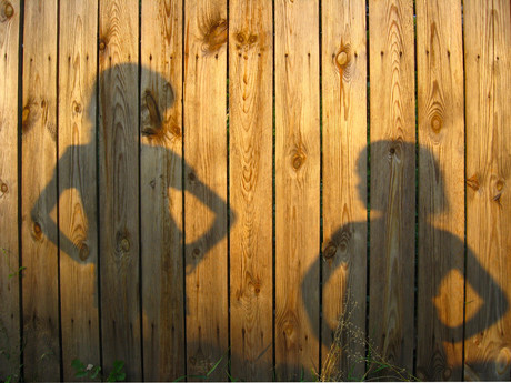 Mandatory pool and spa fencing inspections for Victoria Dollarphotoclub 72686245