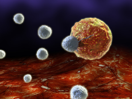 Personalised cancer vaccine underway at UQ Adobestock 20550310