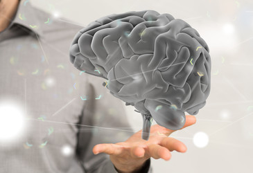 3D 'mini brains' shed new light on mental illness 3D 'mini brains' shed new light on mental illness