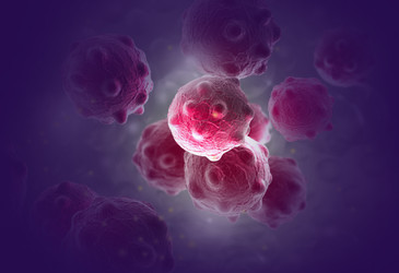 Reengineering the immune system to kill cancer Reengineering the immune system to kill cancer