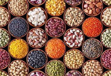 Lentils help lower blood glucose levels by up to 35% Lentils help lower blood glucose levels by up to 35%