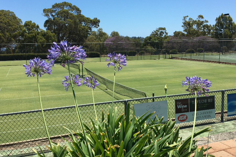 Dalkeith Tennis Club - Australian Sports Foundation