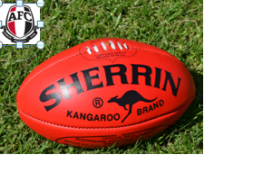 Ainslie Football Club Australian Sports Foundation