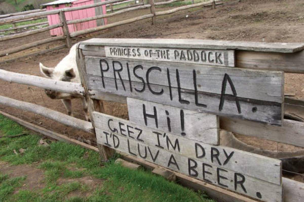 The Longreach Teen Dancing Her Way To Brisbane Abc News