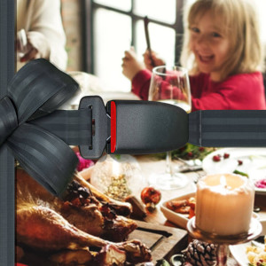 Seatbelt and girl on christmas days image