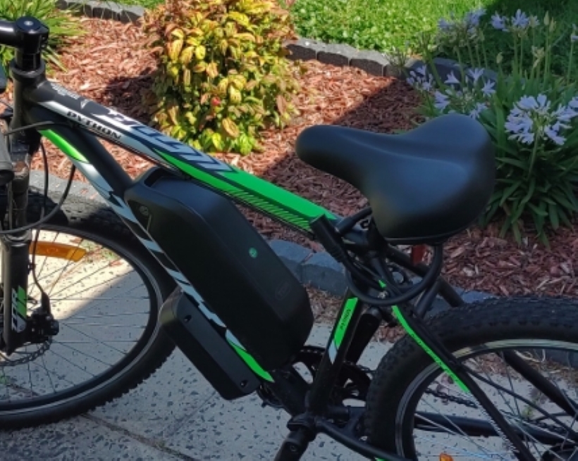 Pacific Python Bicycle Stolen Bike - Fat City Cycles Python - Vault Protected