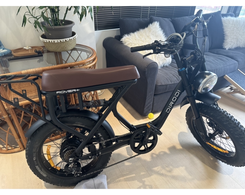 Stolen Bike - Dirodi Rover generation 2 step through - Vault Protected