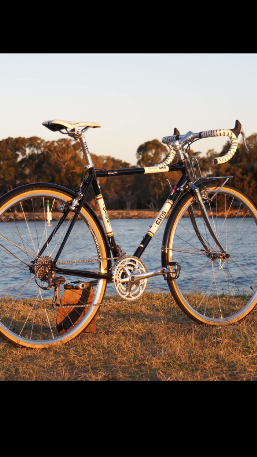 Stolen Bike - Gios Spazio - Vault Protected