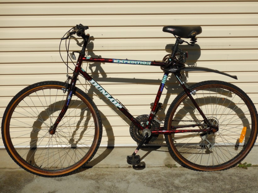 dunlop raider mountain bike