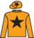 Wicked Wish silks