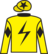 Top Honours silks
