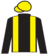 Skoolof Hardknocks silks