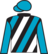 Petticoat Princess silks
