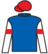 Wild Irish Rover silks
