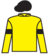 Western Rhythm silks