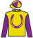Golden Thunder silks